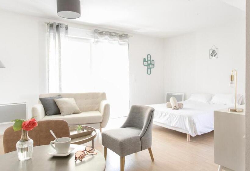 Студия Стандарт Двуспальная Кровать, Zenao Appart Hôtels Mulhouse