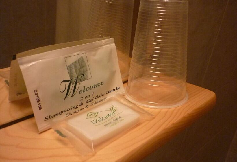 اتاق استاندارد یک نفره, Du Centre