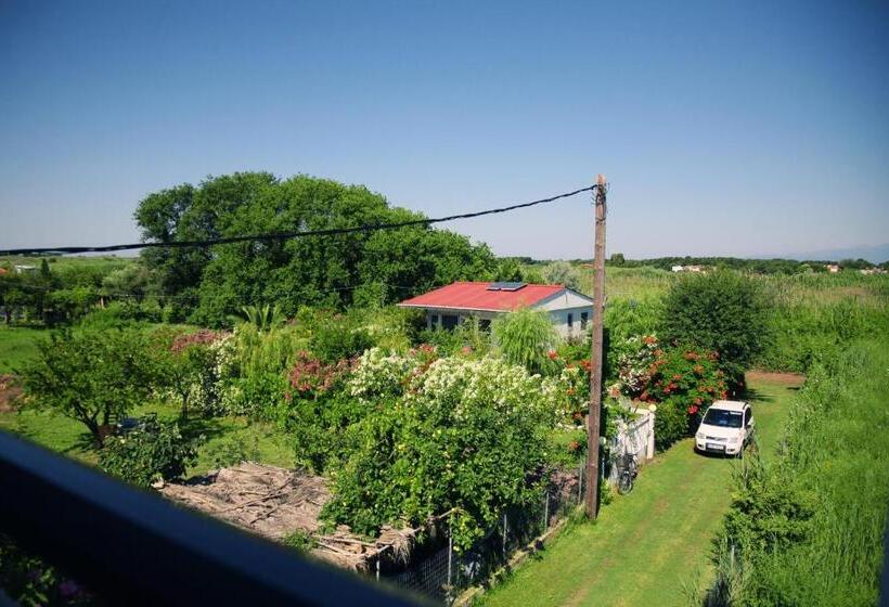 Habitació Triple Estàndard, Philoxenia