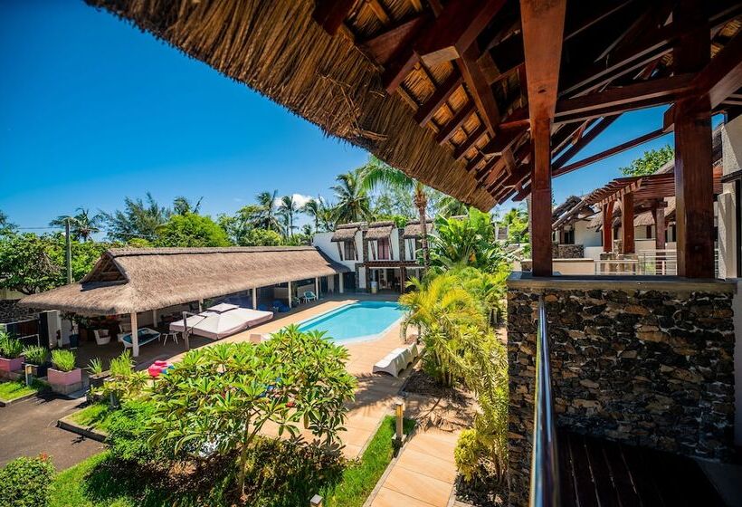 اتاق راحتی, Toparadis Guest House