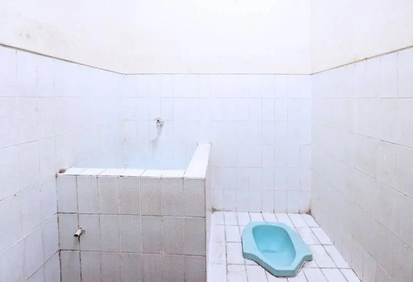 StandaardKamer, Wisata