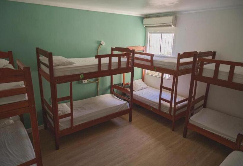 Кровать в Общей Комнате, Belem Hostel