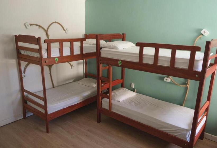 Кровать в Общей Комнате, Belem Hostel