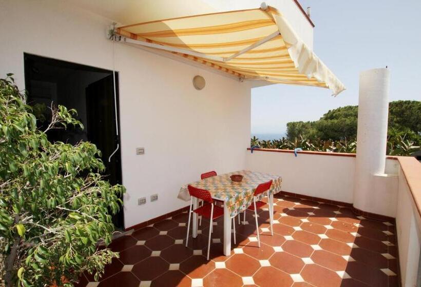 Апартаменты 1 Спальня Вид на Море, Graceland Rooms And Suites