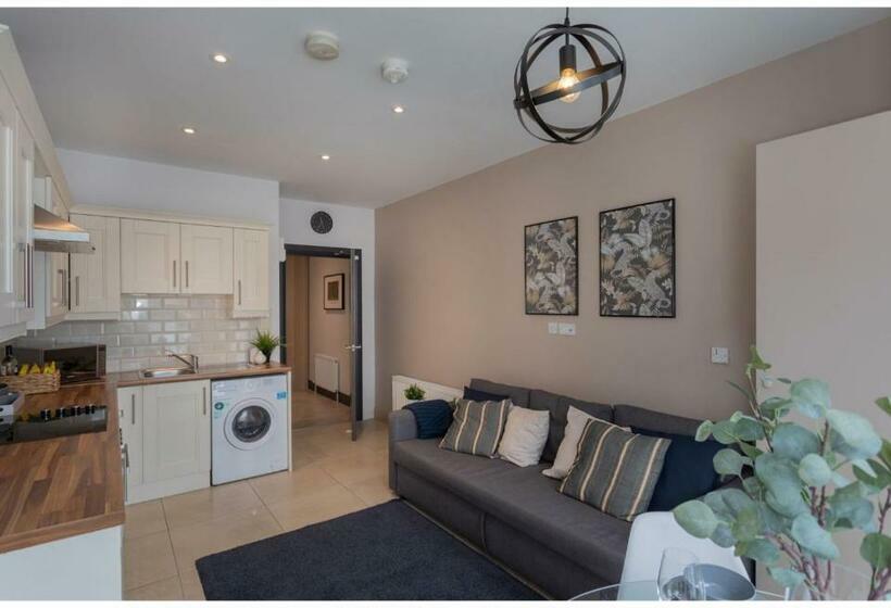 شقة غرفتين, Central Belfast Apartments: 7 Camden Street