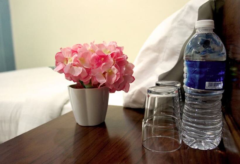 اتاق سوپریور, Maple Inn