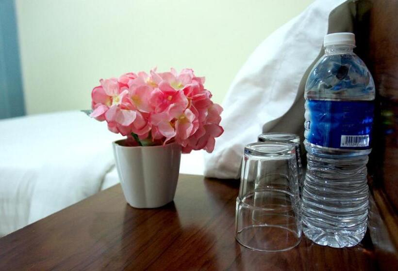 اتاق سوپریور, Maple Inn