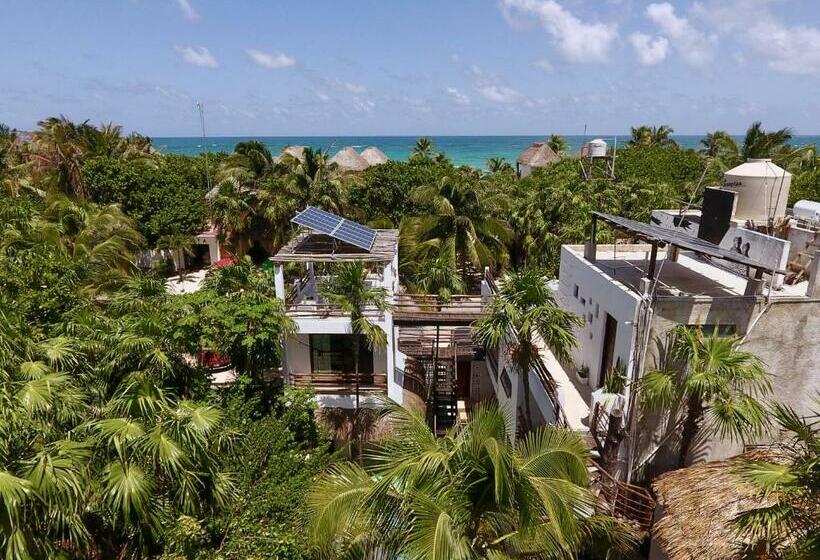 חדר סטנדרט, Tuup Jungle