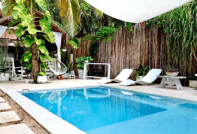 דירת חדר, Tuup Jungle