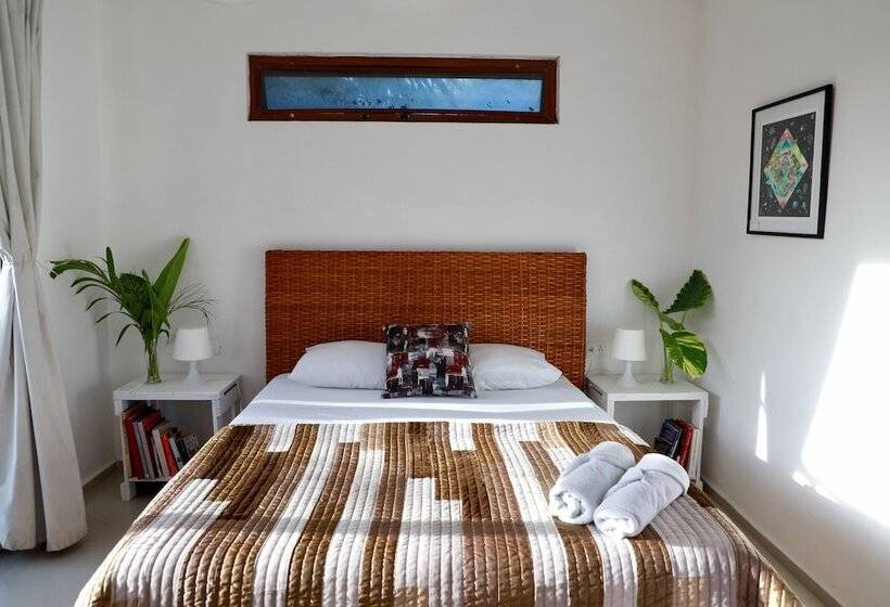 חדר סטנדרט, Tuup Jungle