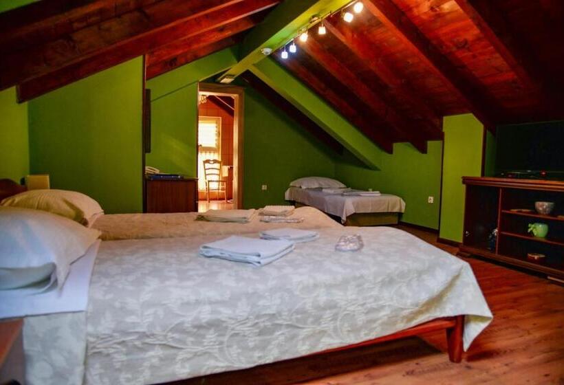 استودیوی استاندارد, Garni Hotel Tianis