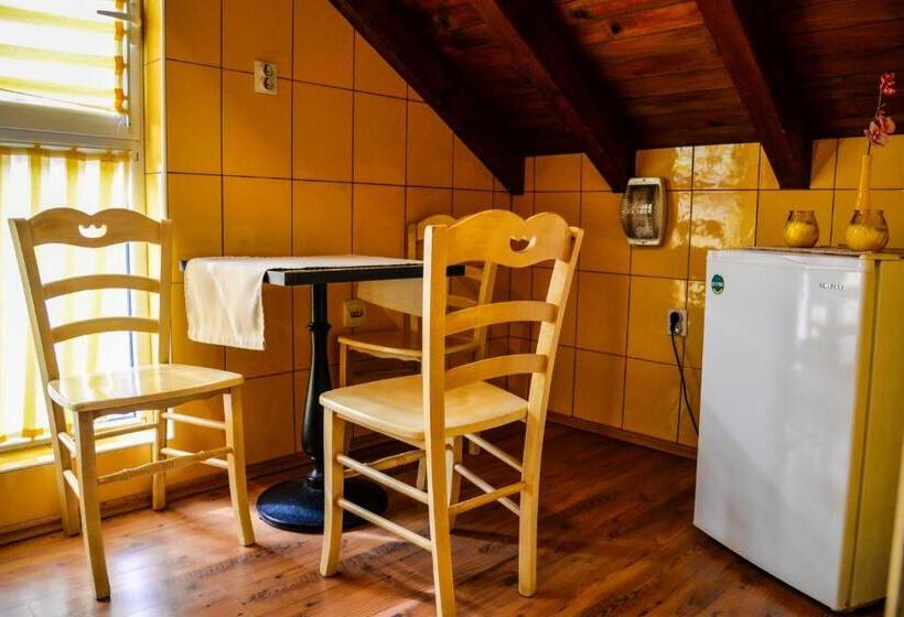 استودیوی استاندارد, Garni Hotel Tianis