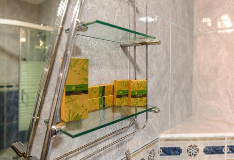 חדר סטנדרט עם מרפסת, Cedrus Boutique