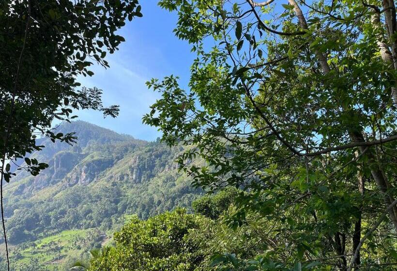 스탠다드 전망 룸, Country Homes