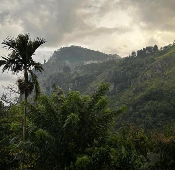 스탠다드 전망 룸, Country Homes