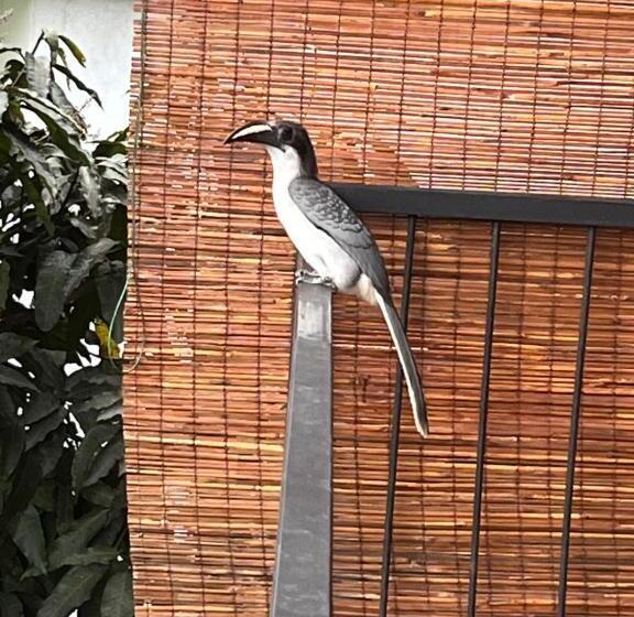 산 전망 스위트, Country Homes