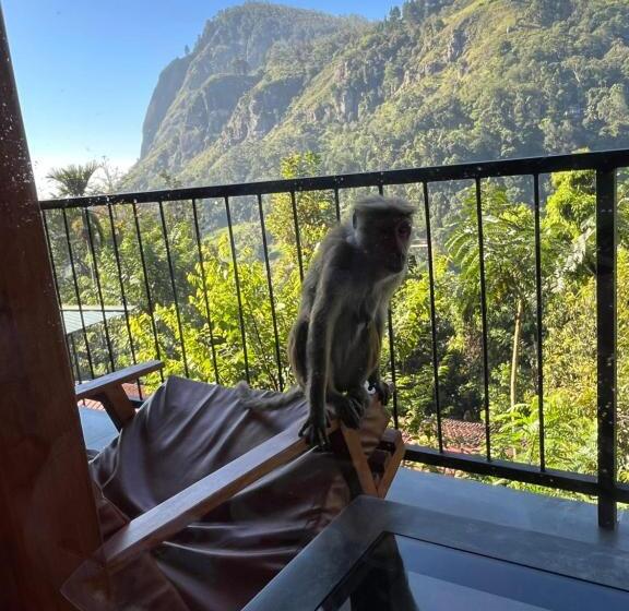 산 전망 스위트, Country Homes