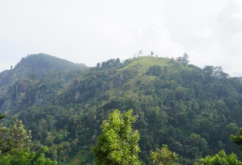 발코니가 있는 스위트, Country Homes