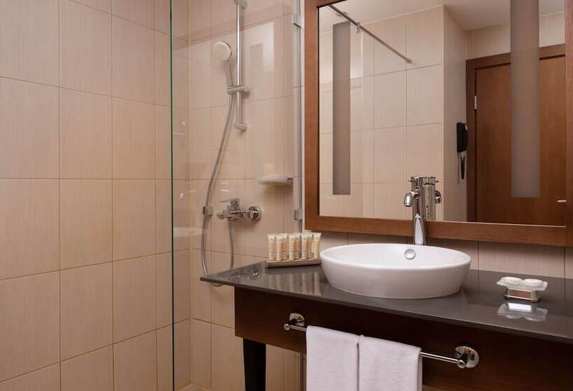 اتاق استاندارد, Medical Spa Hotel Rosa Springs