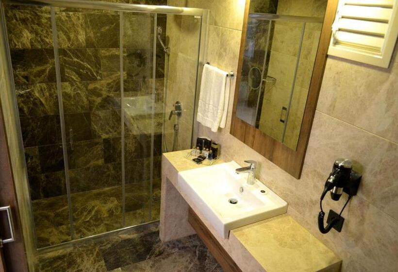 اتاق استاندارد یک نفره, Extenso