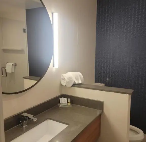 Executive-sviitti, Fairfield Inn & Suites By Marriott Athens