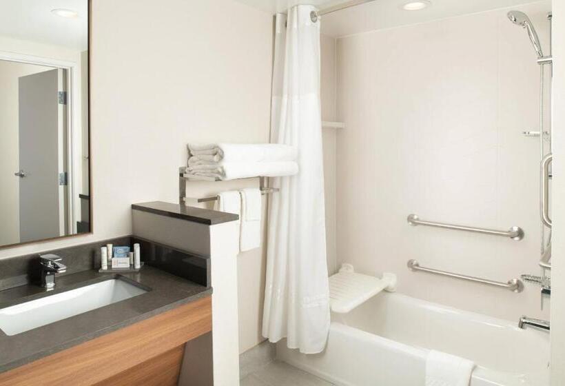 带大床的标准间, Fairfield Inn & Suites By Marriott Athens