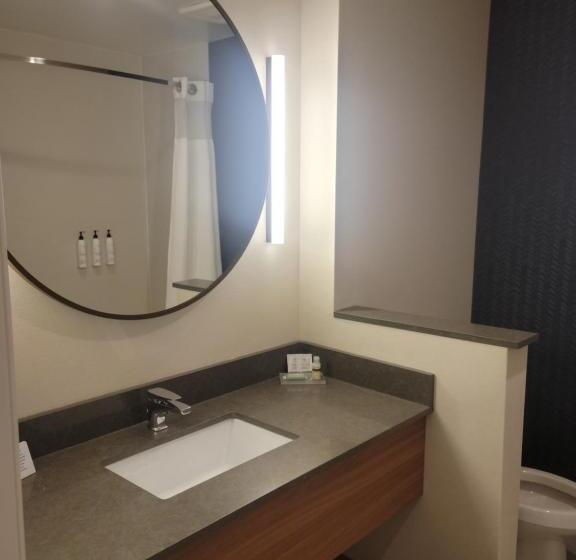 غرفة قياسية, Fairfield Inn & Suites By Marriott Athens