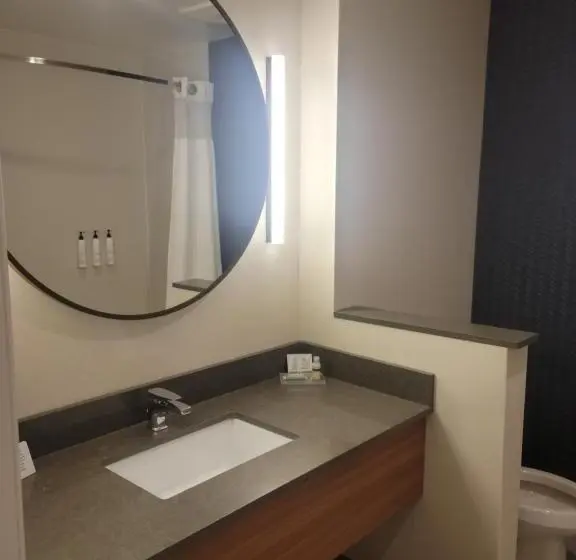 Standard-huone, Fairfield Inn & Suites By Marriott Athens