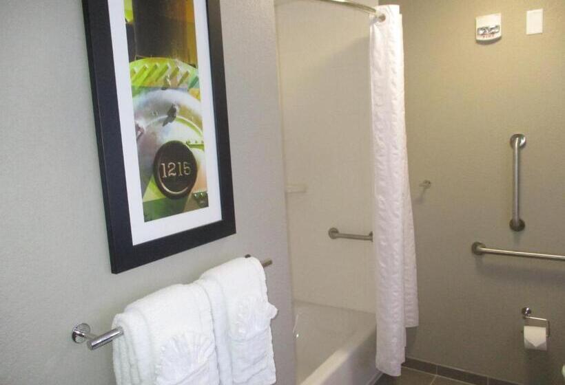 장애인을 위한 스탠다드 룸, Glo Hotel Asheville Blue Ridge Parkway