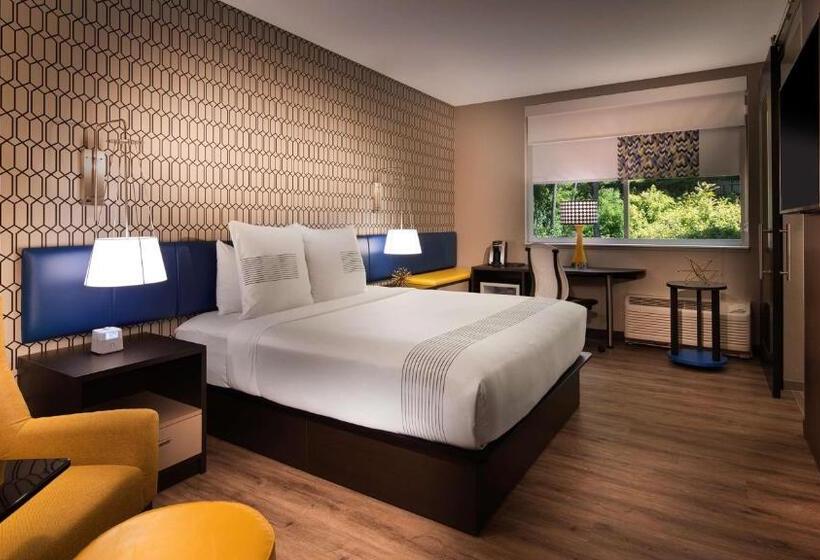 스탠다드 룸 킹사이즈 침대, Glo Hotel Asheville Blue Ridge Parkway