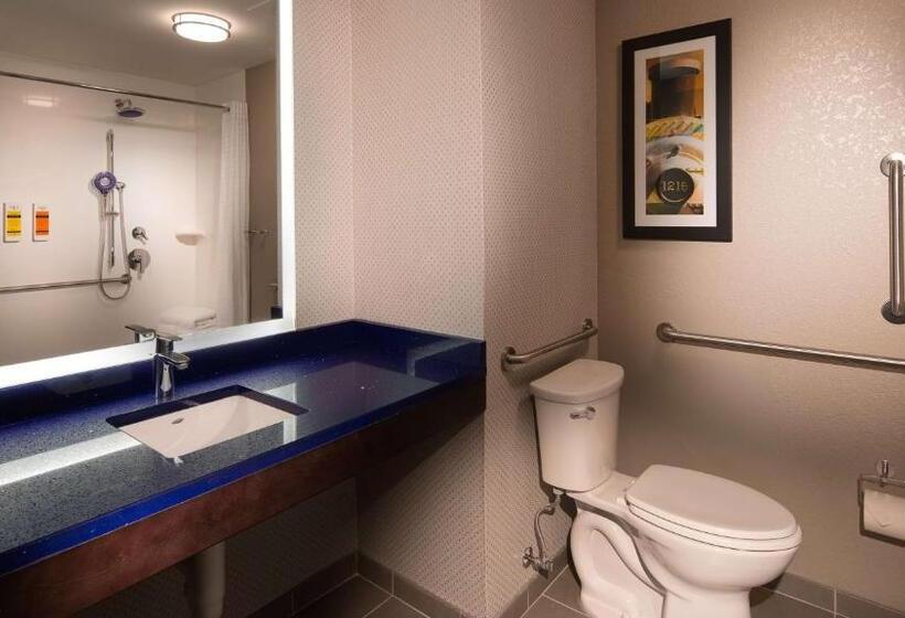 장애인을 위한 킹사이즈 침대 스탠다드 룸, Glo Hotel Asheville Blue Ridge Parkway