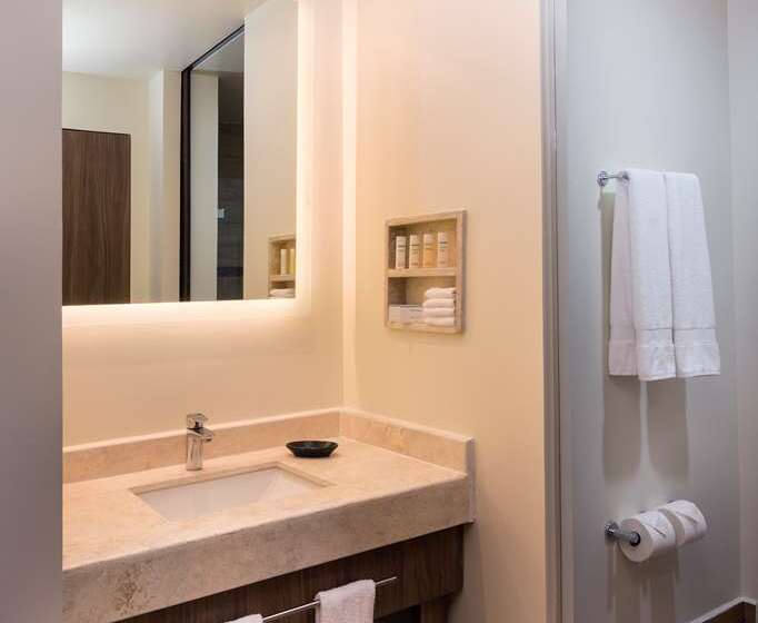 스탠다드 룸 킹사이즈 침대, Hampton Inn Baltimore Bayview Campus