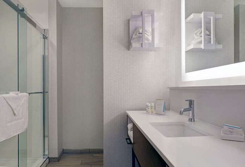 חדר סטנדרט עם מיטת קינג, Hampton Inn Baltimore Bayview Campus