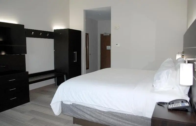 キングサイズベッドのスタンダードルーム, Holiday Inn Express & Suites White Hall, An Ihg
