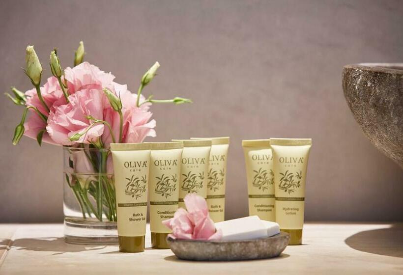 חדר סטודיו סטנדרד, Costa Grand Resort & Spa