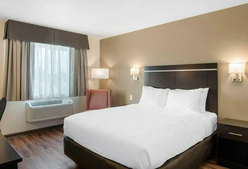 スタンダードルーム, Econo Lodge Inn & Suites