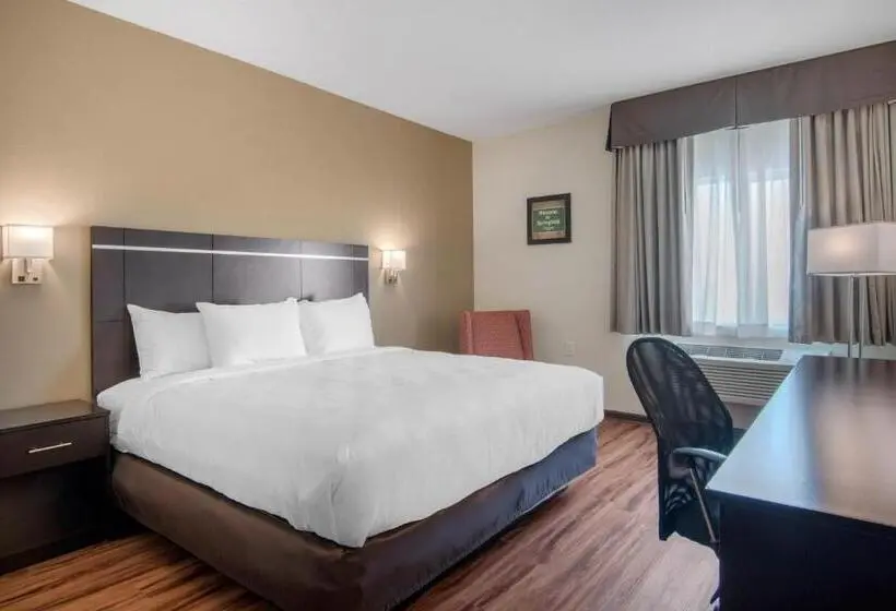 キングサイズベッドのスタンダードルーム, Econo Lodge Inn & Suites