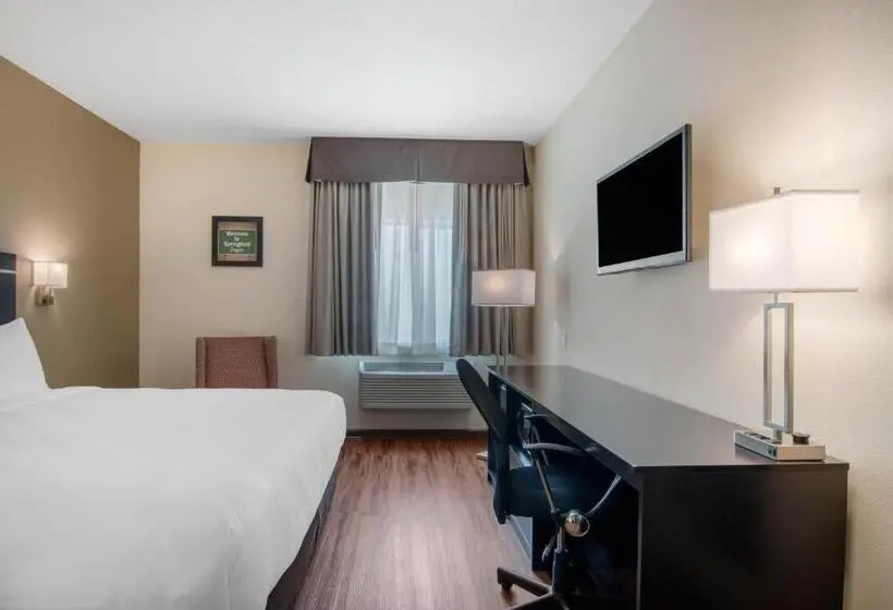 キングサイズベッドのスタンダードルーム, Econo Lodge Inn & Suites
