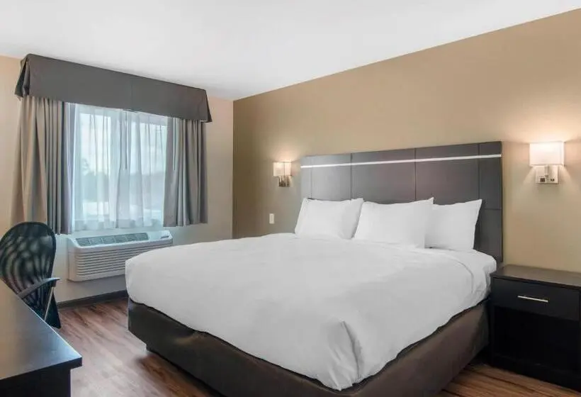 キングサイズベッドのスタンダードルーム, Econo Lodge Inn & Suites