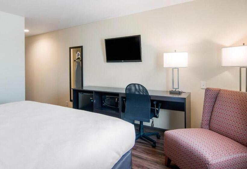 غرفة قياسية سرير كينج, Econo Lodge Inn & Suites