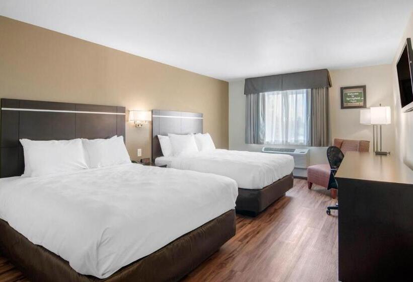 스탠다드 룸, Econo Lodge Inn & Suites