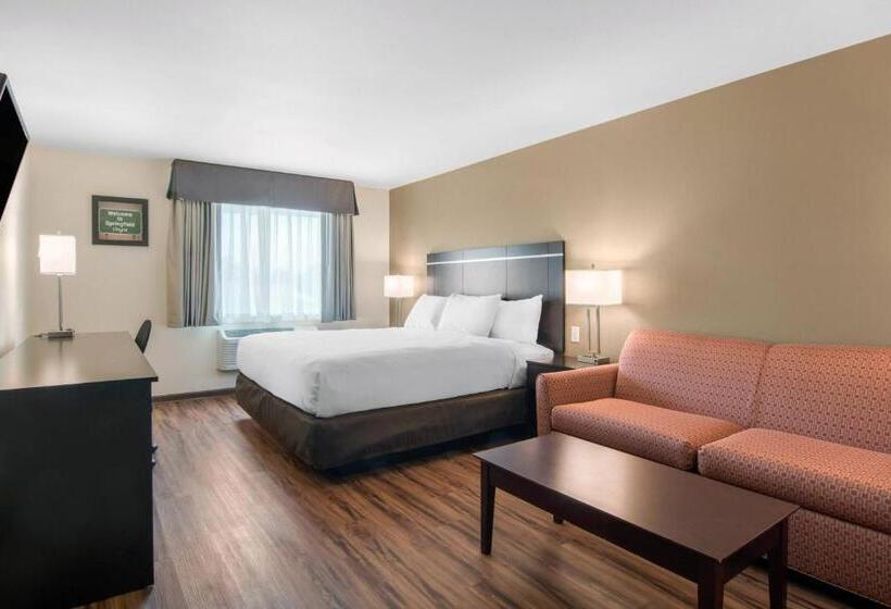 غرفة قياسية سرير كينج, Econo Lodge Inn & Suites