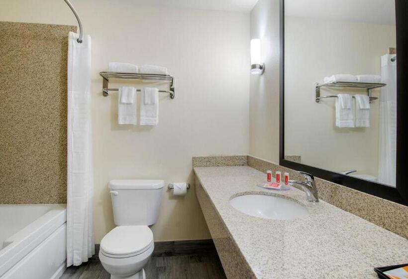스탠다드 룸 킹사이즈 침대, Econo Lodge Inn & Suites