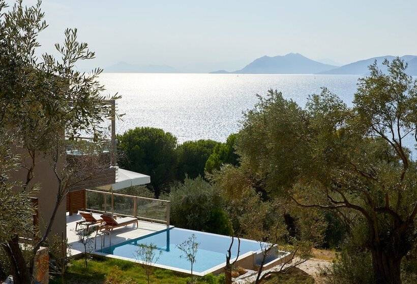 Полулюкс с Бассейном, Elivi Skiathos