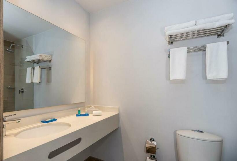 身障者適用キングサイズベッドルーム, Holiday Inn Express Cartagena Manga, An Ihg