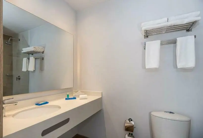 اتاق استاندارد با تخت بزرگ برای معلولان, Holiday Inn Express Cartagena Manga, An Ihg