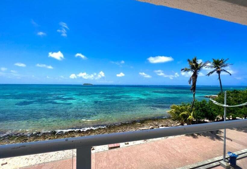 수피리어 룸 바다 전망, Caribbean Island