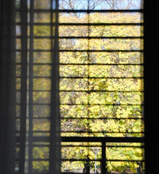 Studio Standard, La Perla By Sedar