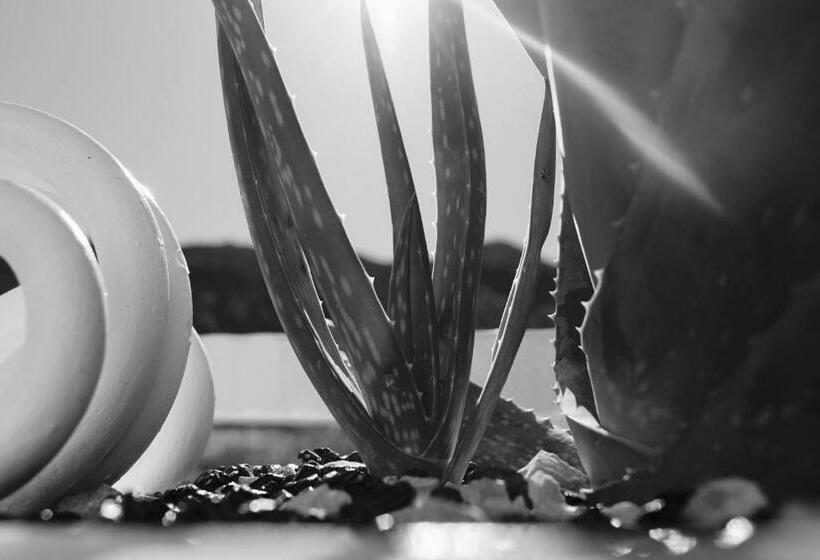 غرفة قياسية مطلة على الجبل, Villa Pollio Guest House