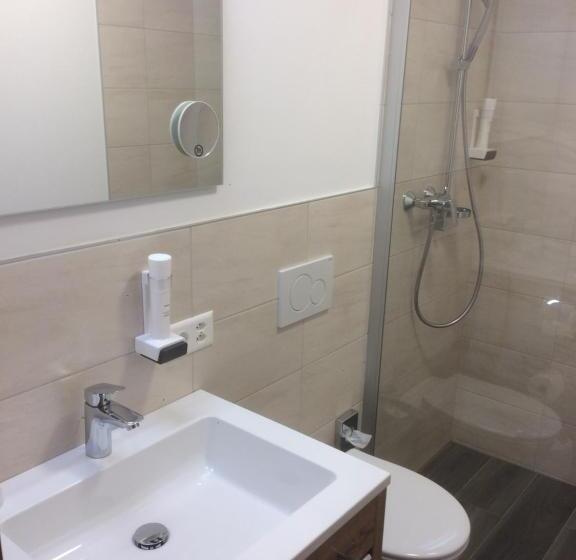 スタンダードシングルルーム, Piz Ot